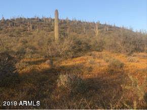 2200 Circle Mountain Road - Photo 1