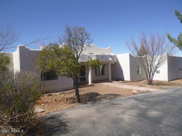1045 Whitefeather Draw Drive - Photo 1