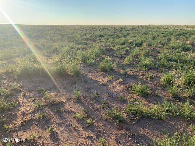 Arizona Rancheros #118 Lot 2 - Photo 1
