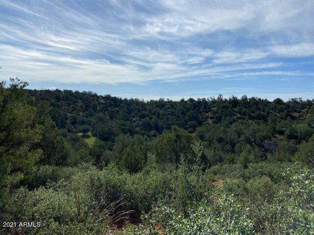 001 Ridge Runner Road - Photo 1