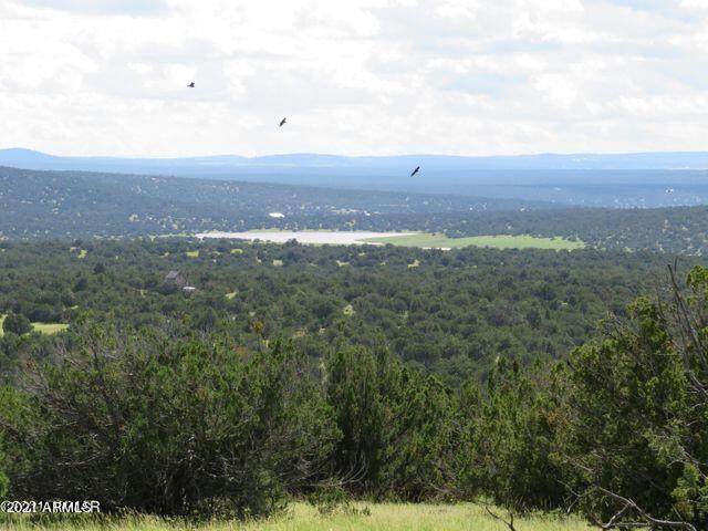 Show Low Pines Unit 3 Lot 241 - Photo 1