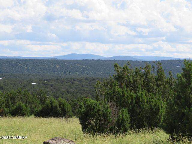 5 County Road 8059 - Photo 1