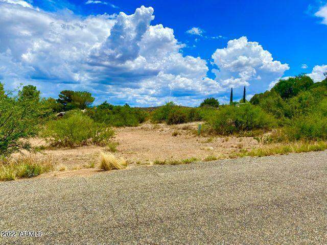 17838 Hummingbird Lane - Photo 1