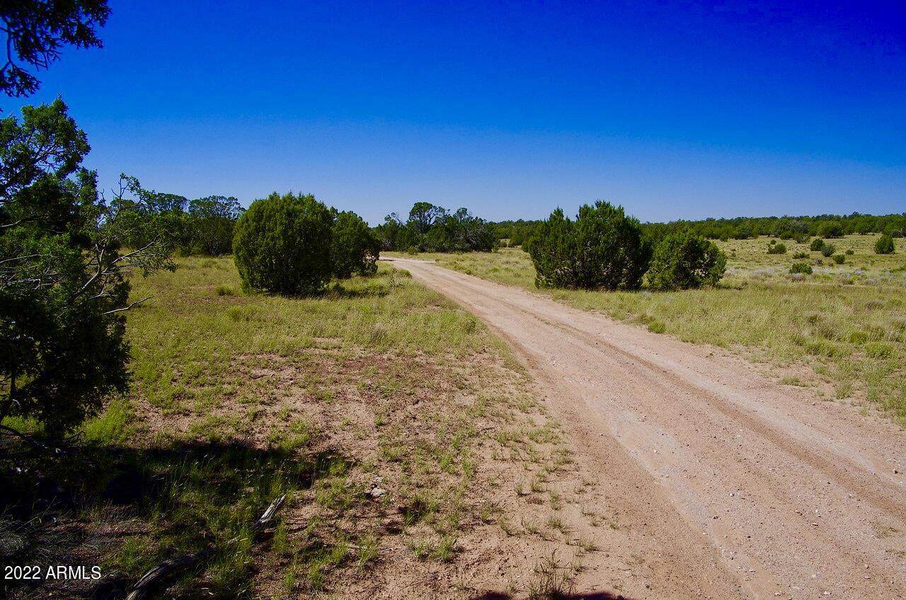 TBD Brothers Blvd 20 Acres - Photo 1