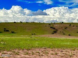 Woodridge Ranch Unit 12 Lot 503 - Photo 1