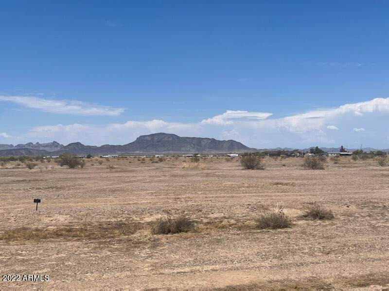 0 Mckinley - Photo 1
