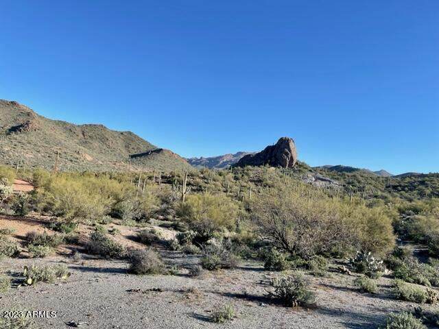 0xxx Elephant Butte Road - Photo 1