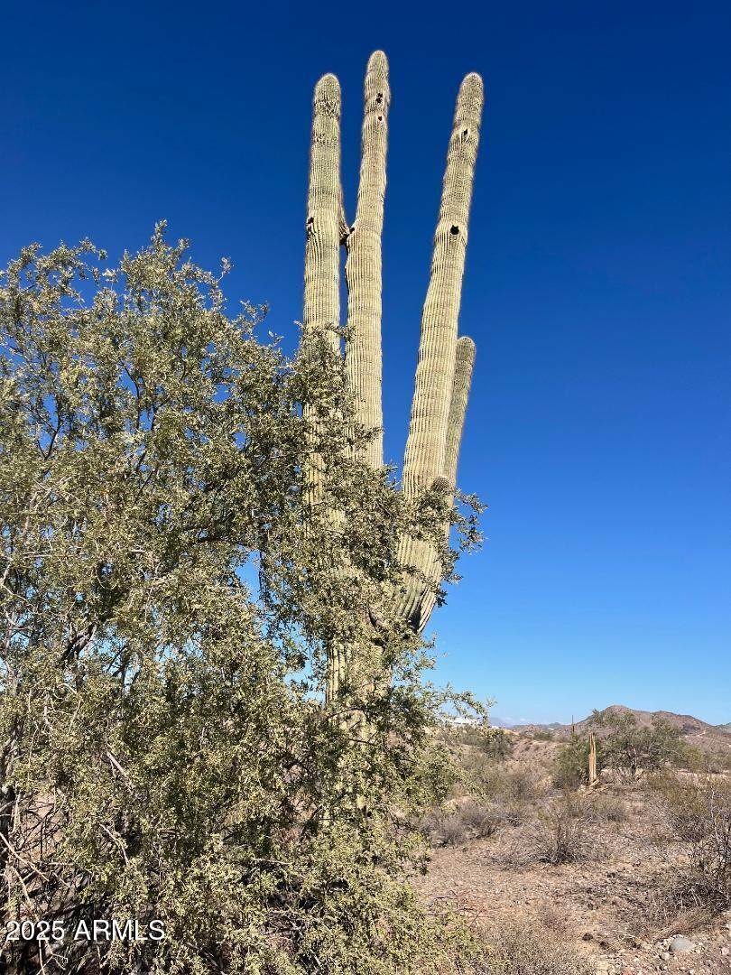 26113 113th Avenue - Photo 1