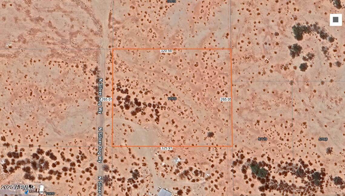 11933 Silver Dog Way - Photo 1