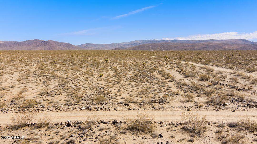 19393 Pony Road - Photo 1