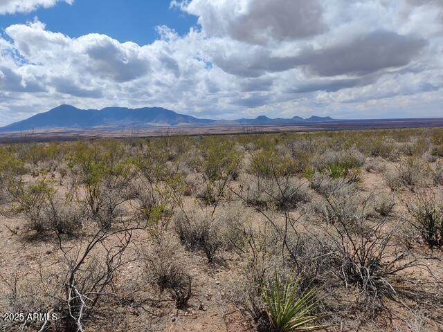 TBD Lot 6D Tract 6D Rio Vista - Photo 1