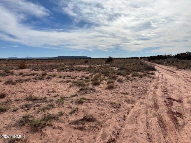 9049 Old School Bus Trail - Photo 1