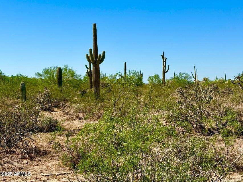 0 Hohokam Rd Lot 2 7.5 Acres - Photo 1