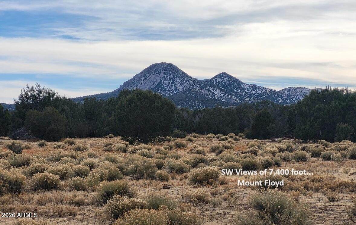 51 Ranch Road - Photo 1
