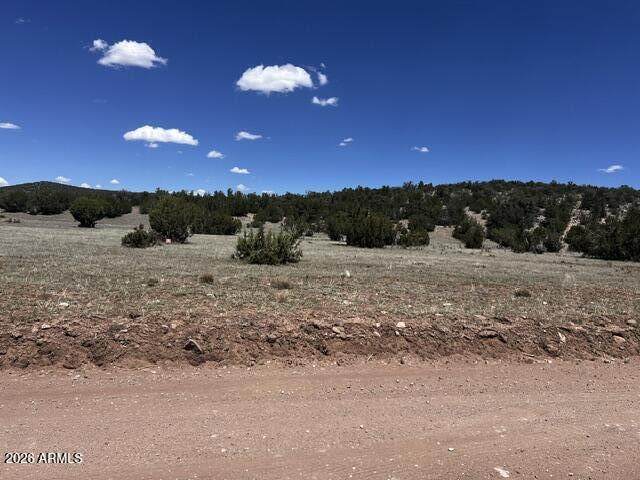Lot 15 Juniper Mtn Ranches Unit 1 - Photo 1