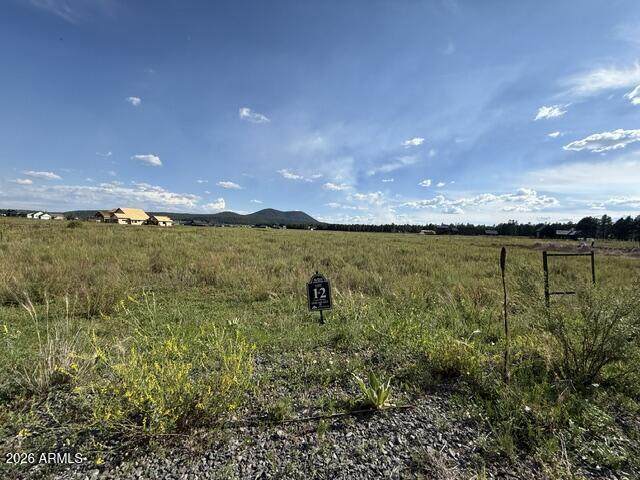 9290 Ranch At The Peaks Way - Photo 1