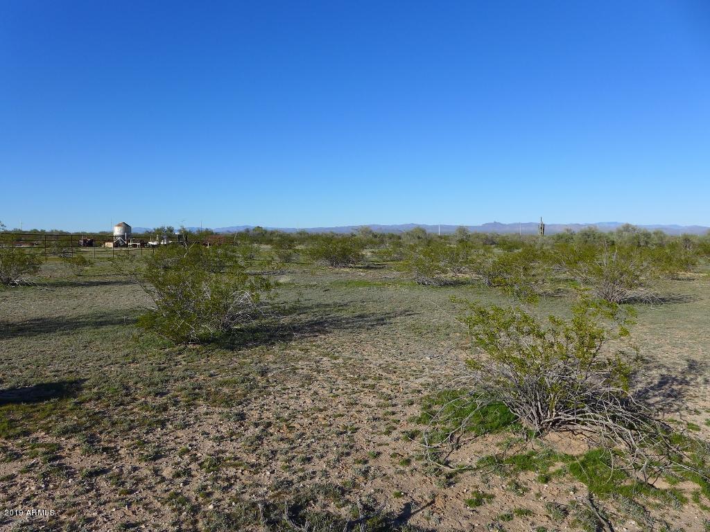 247XX W Montgomery Avenue - Photo 1