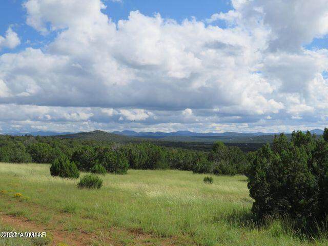 Show Low Pines Unit 3 Lot 241 - Photo 1
