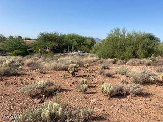 11708 Windrose Drive - Photo 1
