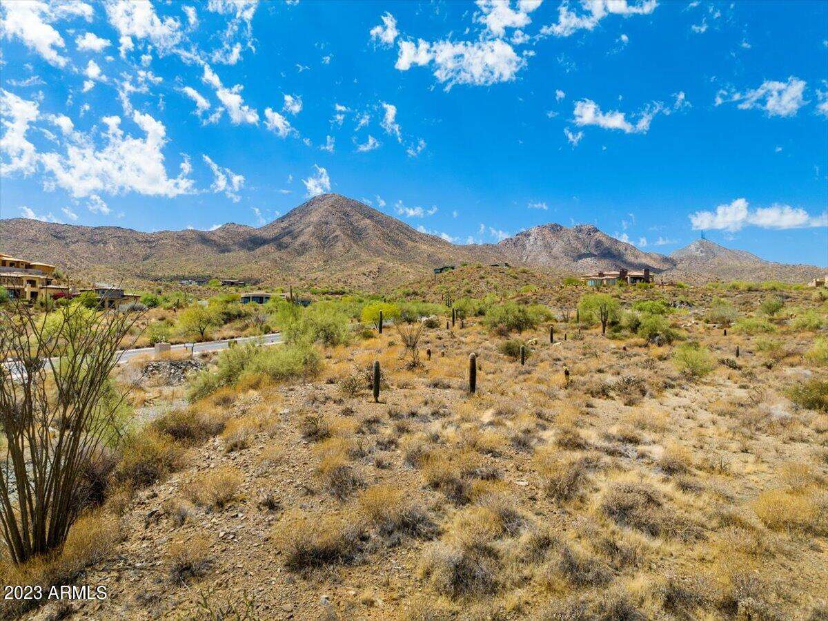 14310 Desert Tortoise Trail - Photo 1