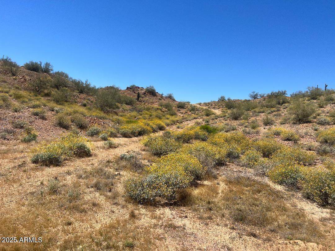 0 Butte Creek C1 Boulevard - Photo 1