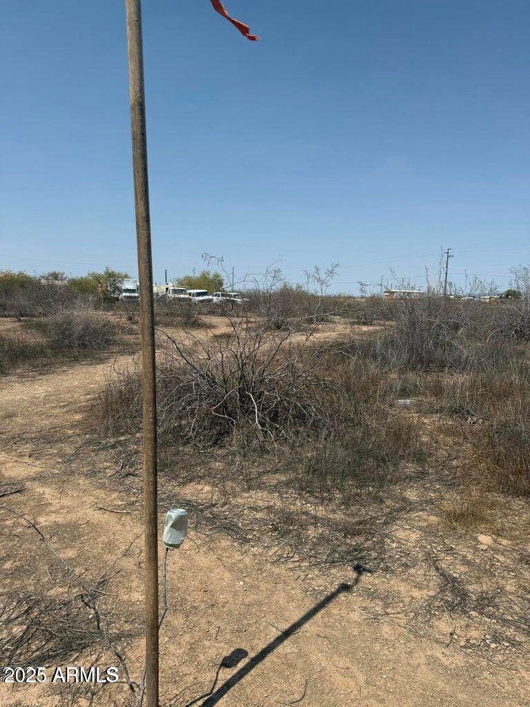 378xx No Name Woods North - Photo 1