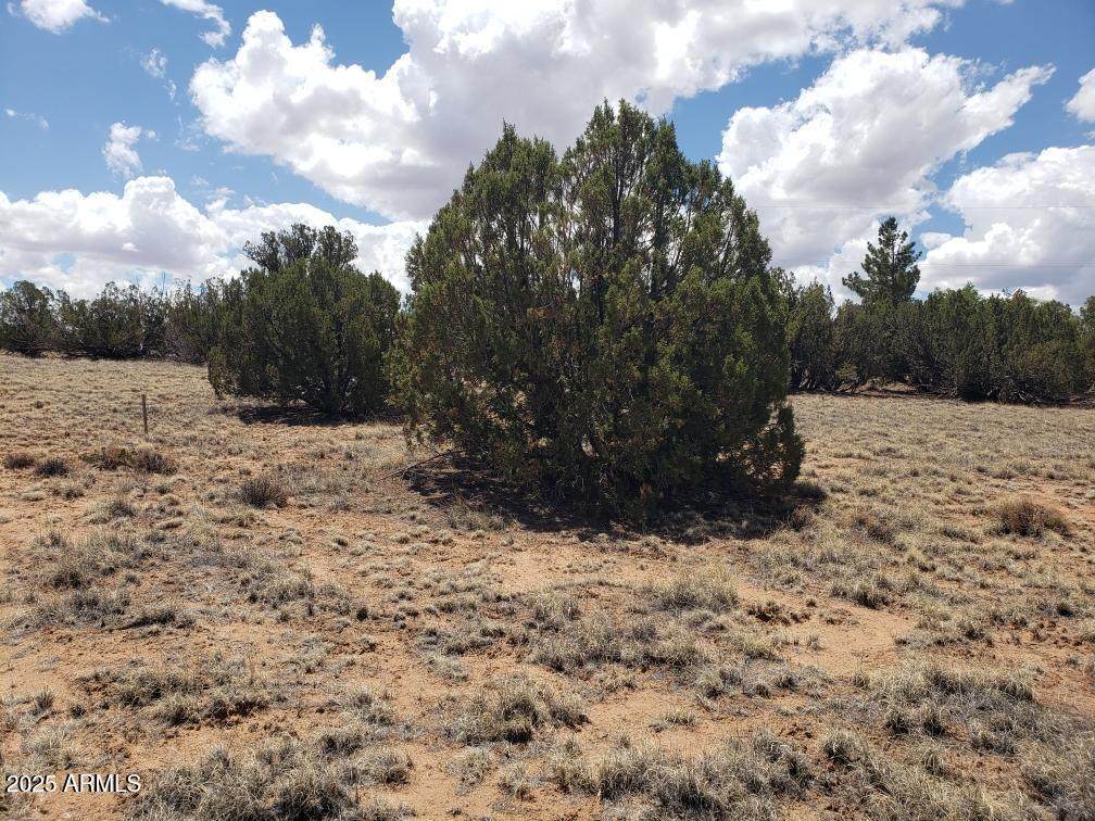 3933 Hidden Ranch Road - Photo 1