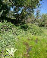 3995 Forest Svc Rd 249 - Photo 120