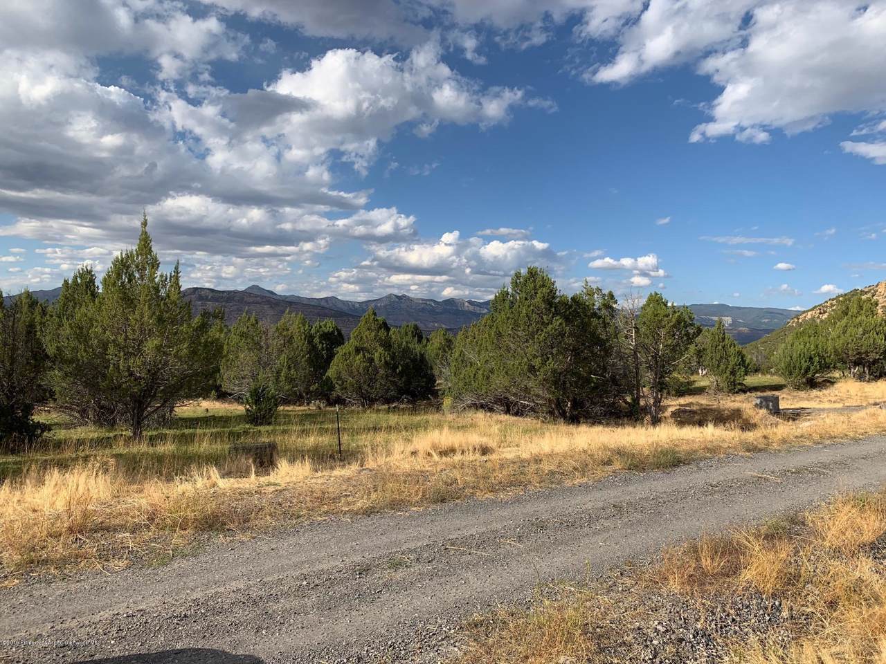 10789 52 1/2 Road - Photo 1