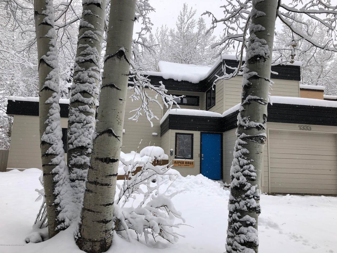 1333 Snowbunny Lane - Photo 1