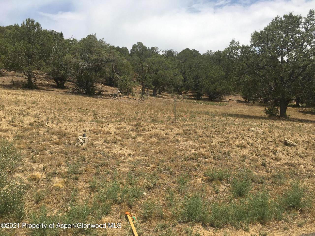 324 Faas Ranch Road - Photo 1