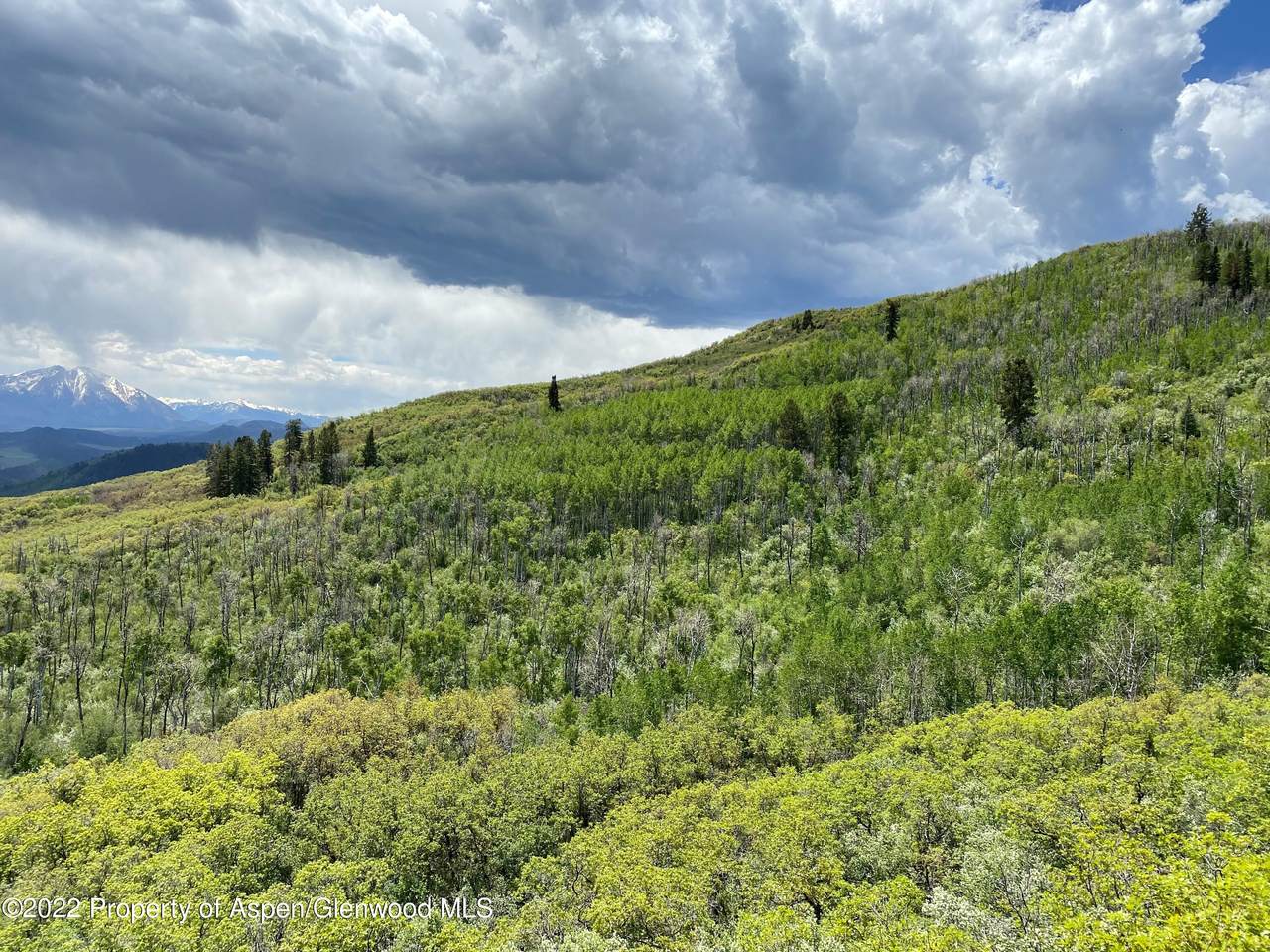 TBD Bear Paw Lane - Photo 1