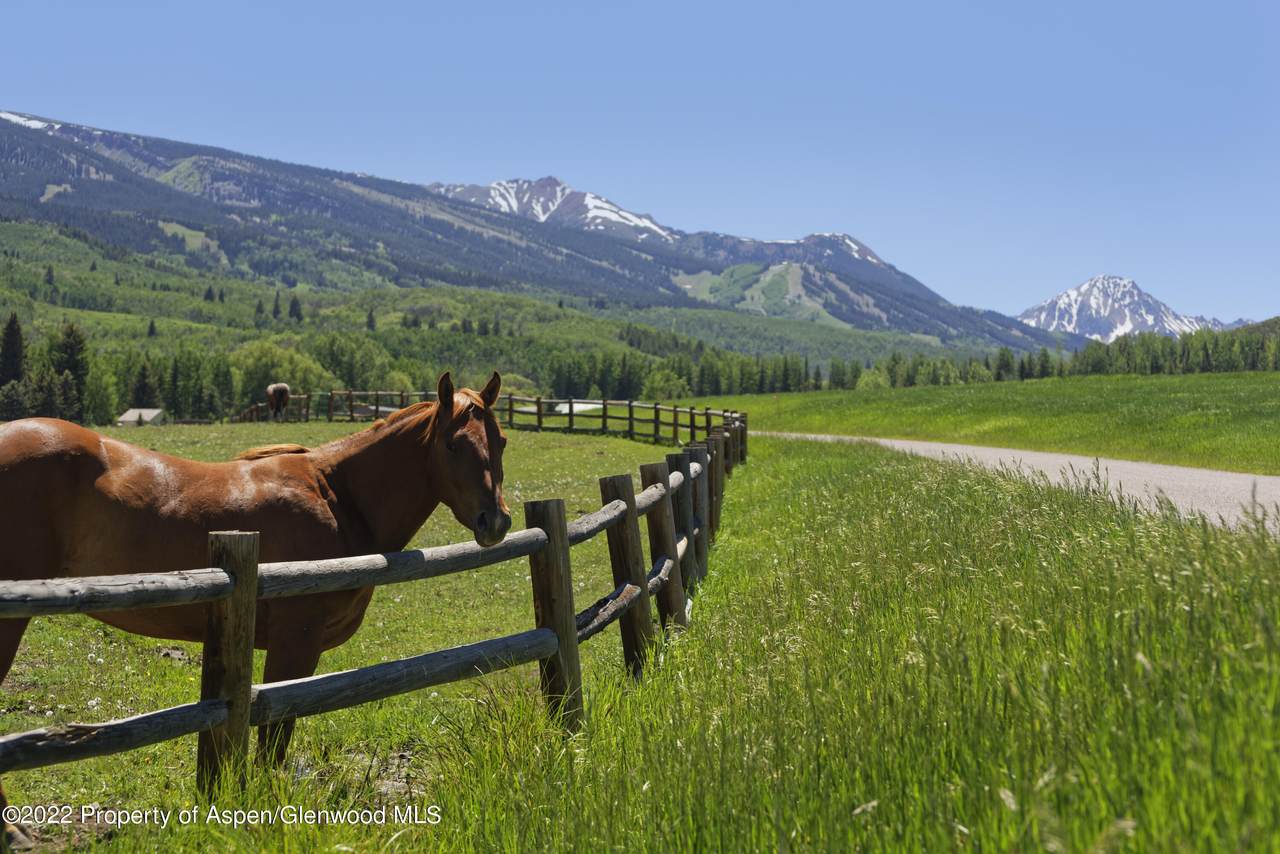 TBD Owl Creek Ranch Road - Photo 1