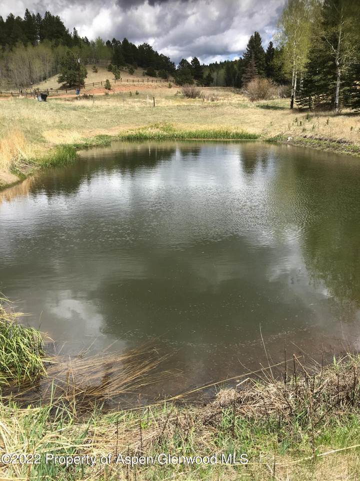 974 Bison Creek Trail - Photo 1