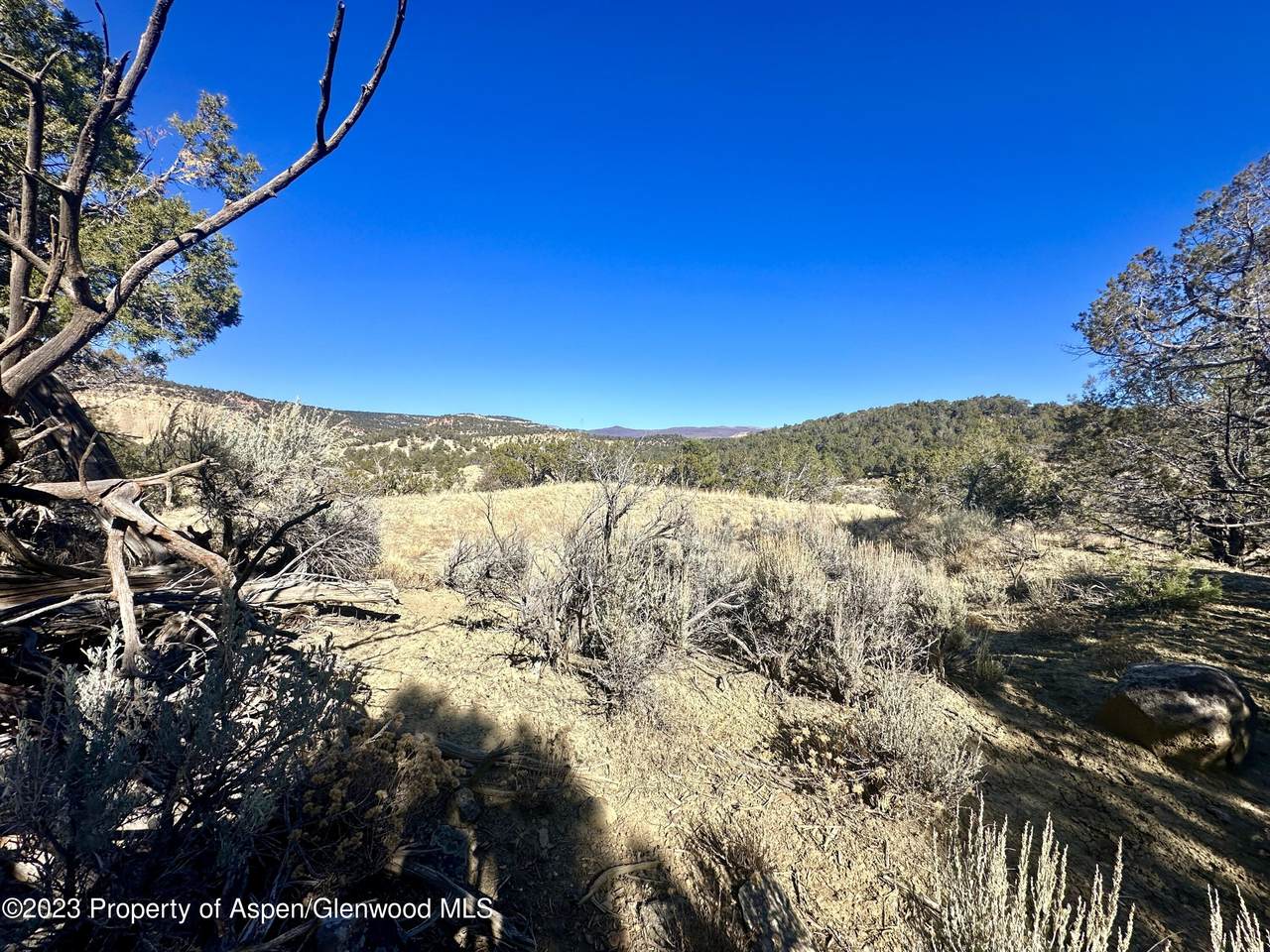 TBD Cactus Park Road - Photo 1