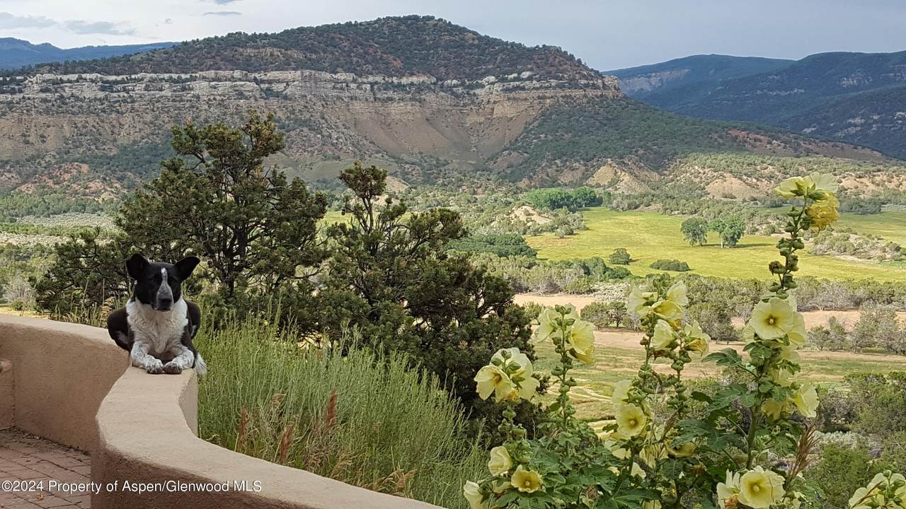 27067 Cactus Park Road - Photo 1