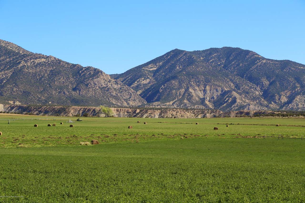 TBD County Road 233 - Photo 1
