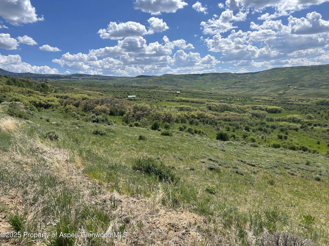 1633 Eagle Loop Loop - Photo 1