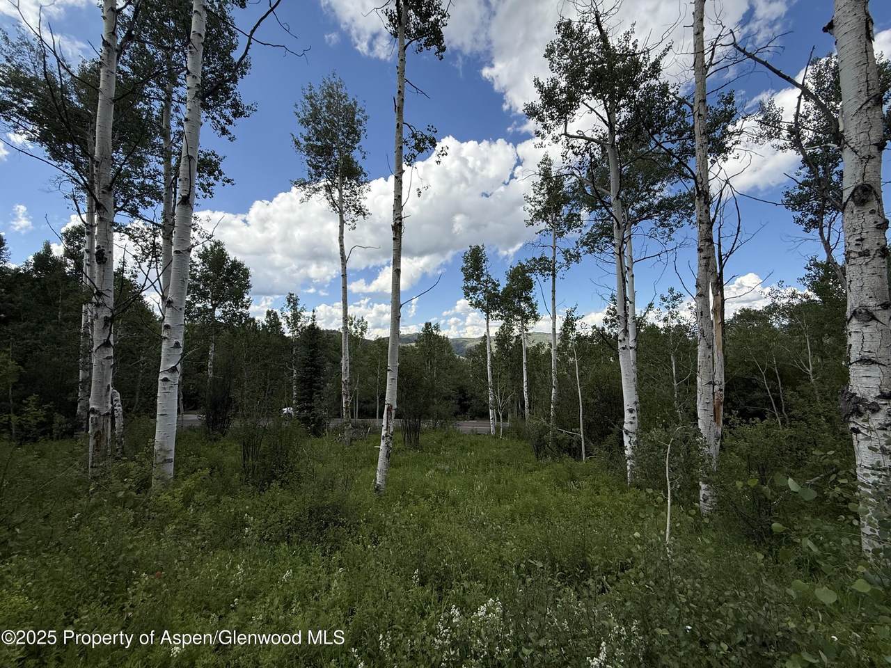 TBD Faraway Road - Photo 1