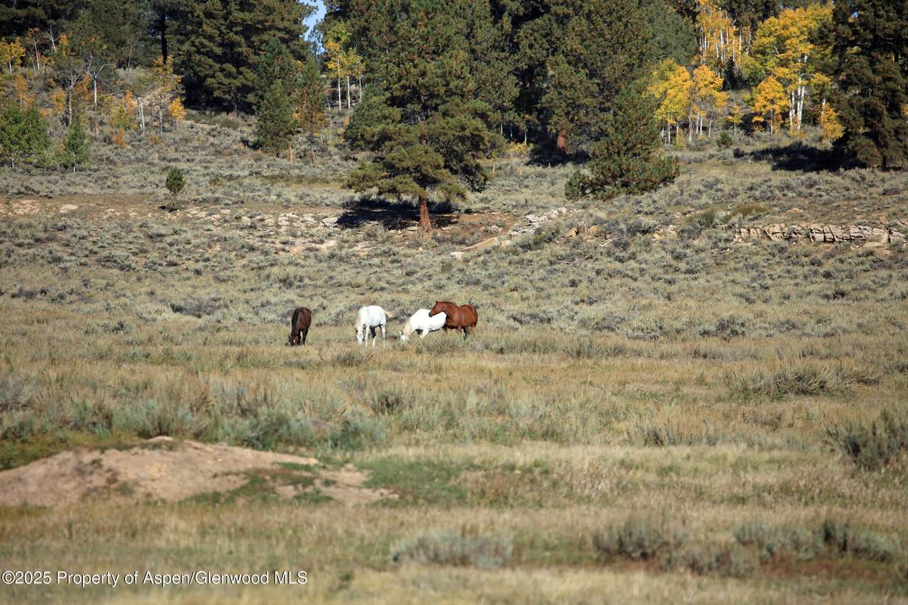 TBD Divide Road - Photo 1
