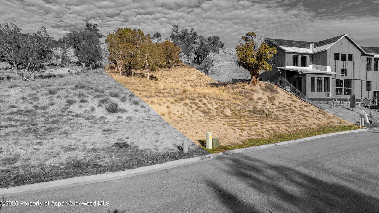 16 Mule Deer Court - Photo 1