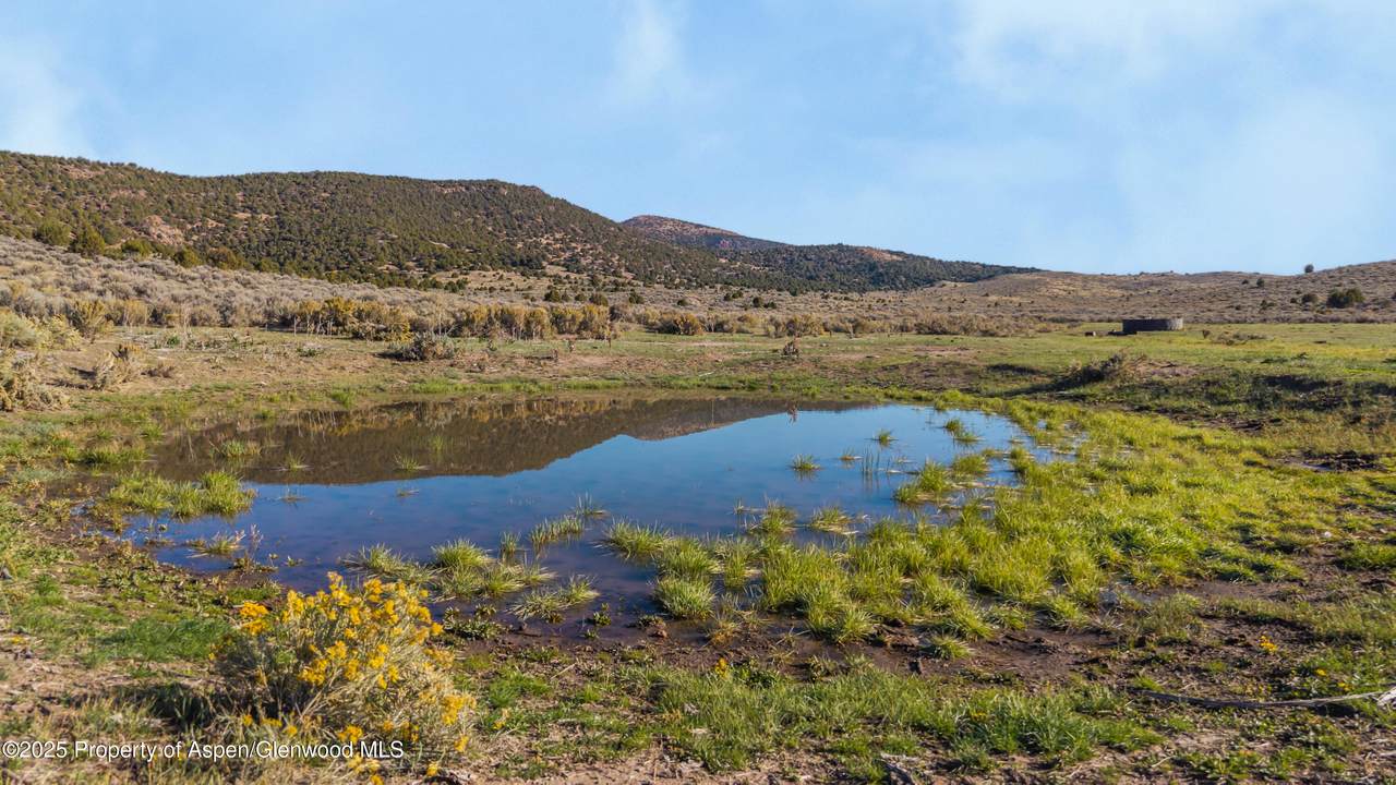 TBD County Road 53 - Photo 1