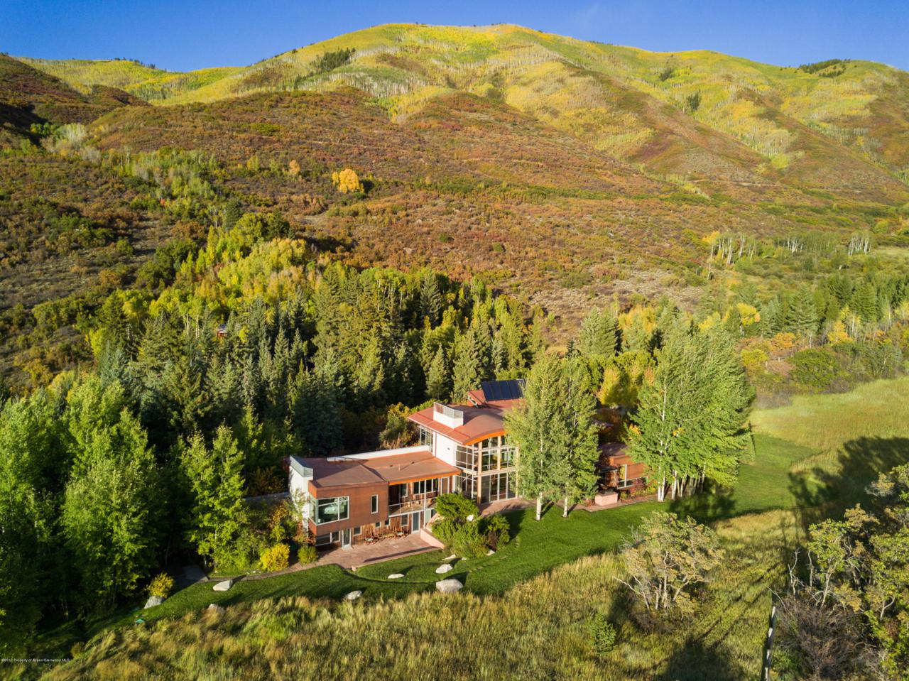 700 Nell Erickson - Photo 1