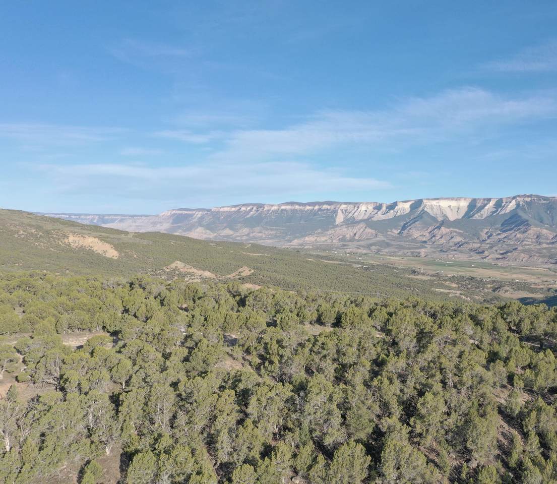 TBD Cedar Breaks Road - Photo 1