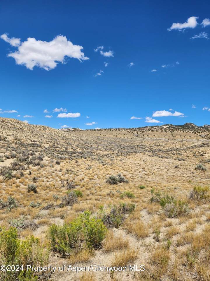TBD Skull Creek - Photo 1