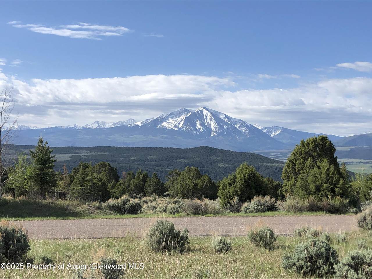 124 Wood Nymph Lane - Photo 1