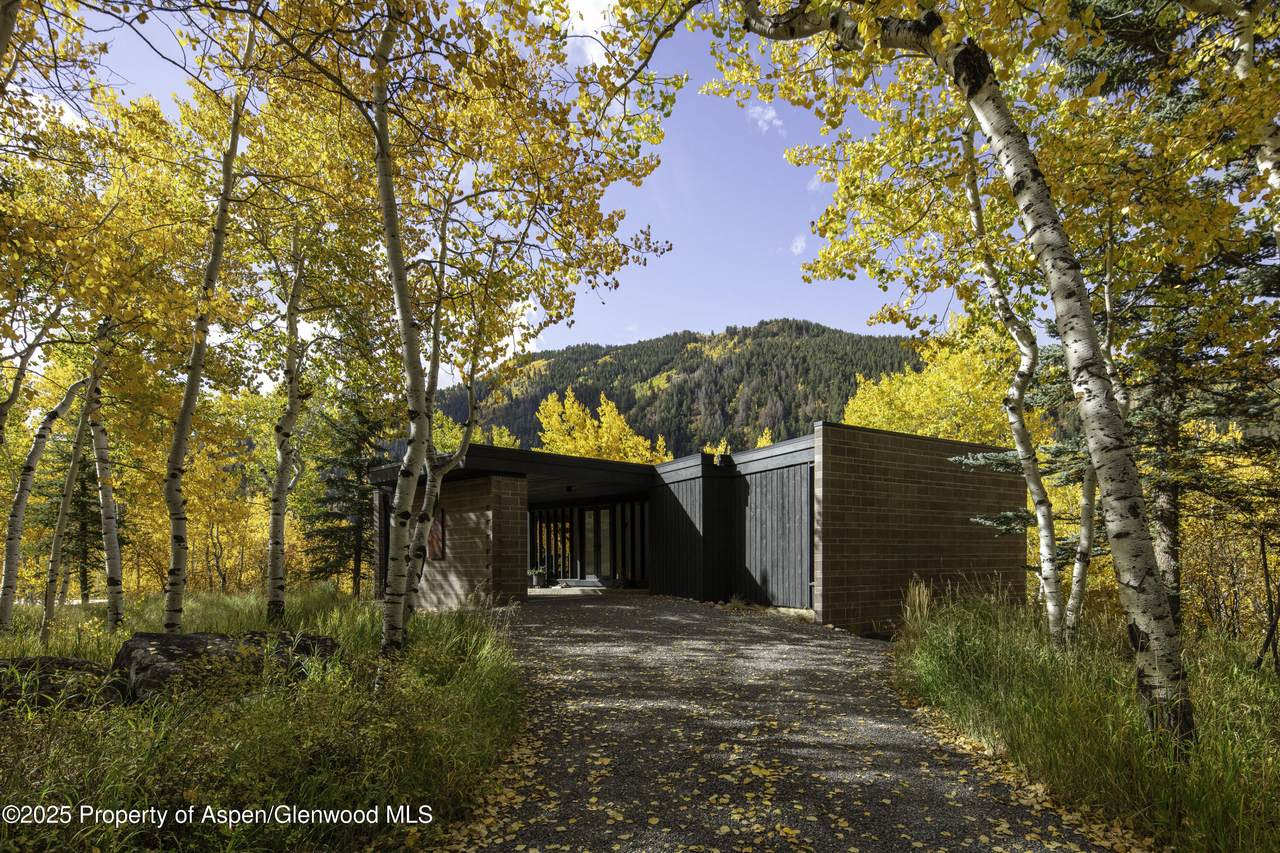 258 Roaring Fork Drive - Photo 1