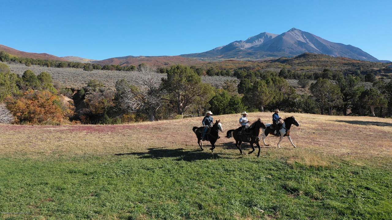 TBD Prince Creek Road - Photo 1