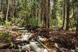 TBD Firehouse Road - Photo 14
