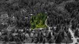 TBD Firehouse Road - Photo 16